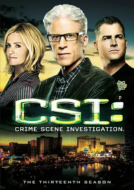 犯罪现场调查 第十三季 CSI： Crime Scene Investigation Season 13
