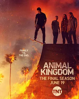 野兽家族 第六季 Animal Kingdom Season 6