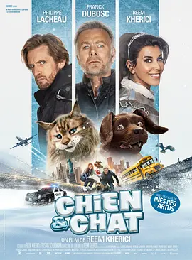 Chien et Chat