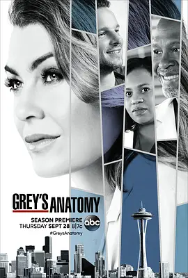 实习医生格蕾 第十四季 Grey&#039;s Anatomy Season 14